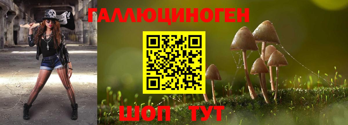 Галлюциногенные грибы Psilocybe  Галлюциногенные грибы ЛСД  Вход с VPN  Тихорецк 